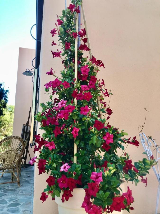 Le 25 Tartarughe Bed & Breakfast Santa Teresa Gallura Bagian luar foto