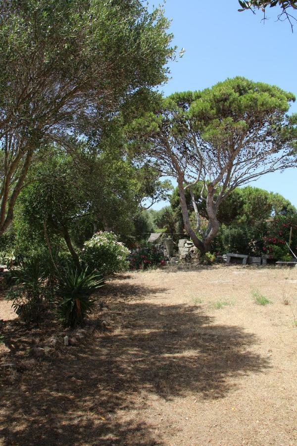 Le 25 Tartarughe Bed & Breakfast Santa Teresa Gallura Bagian luar foto