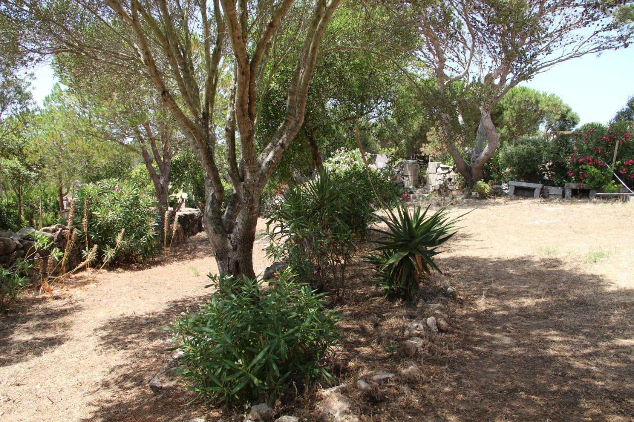 Le 25 Tartarughe Bed & Breakfast Santa Teresa Gallura Bagian luar foto