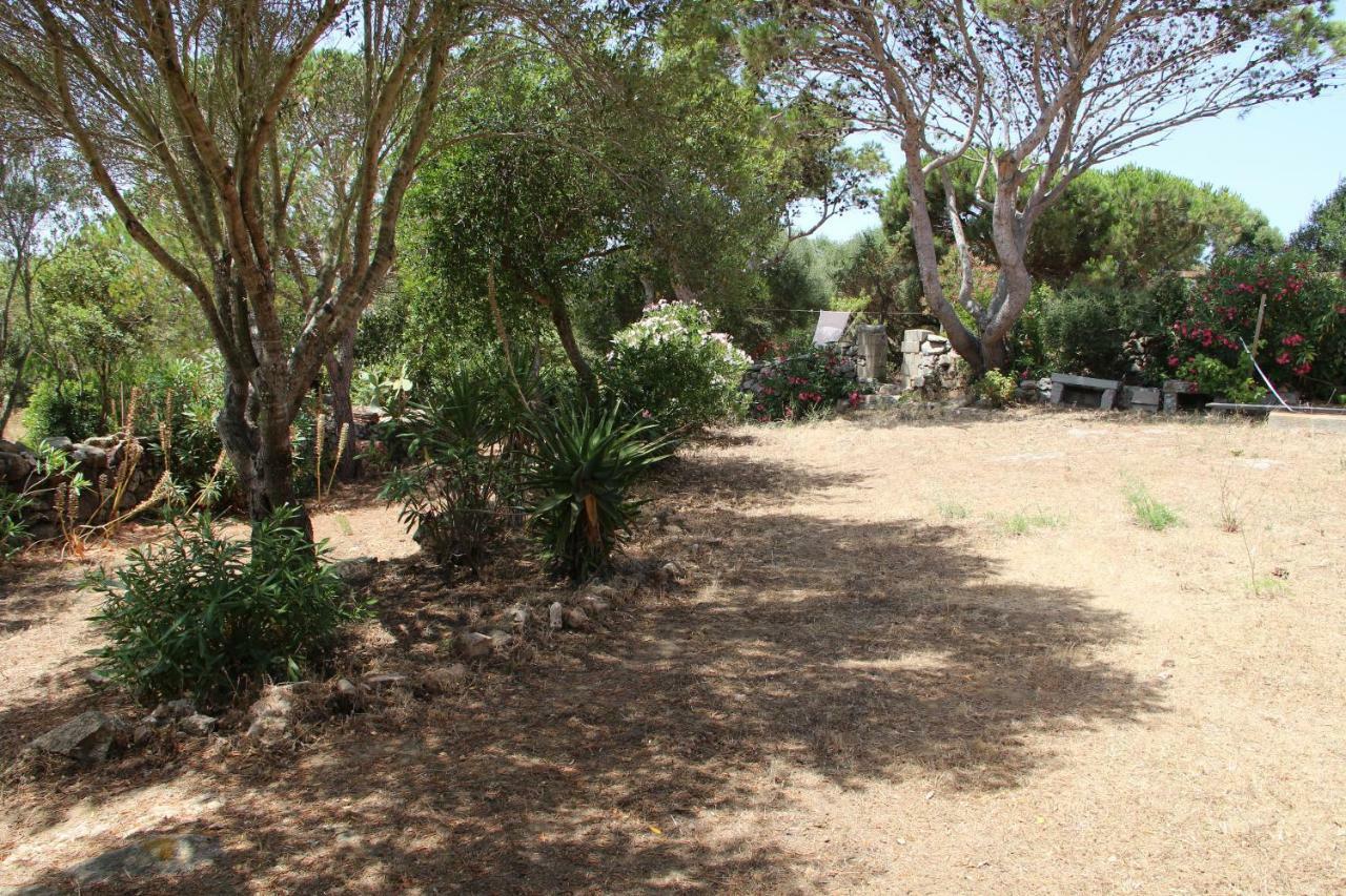 Le 25 Tartarughe Bed & Breakfast Santa Teresa Gallura Bagian luar foto