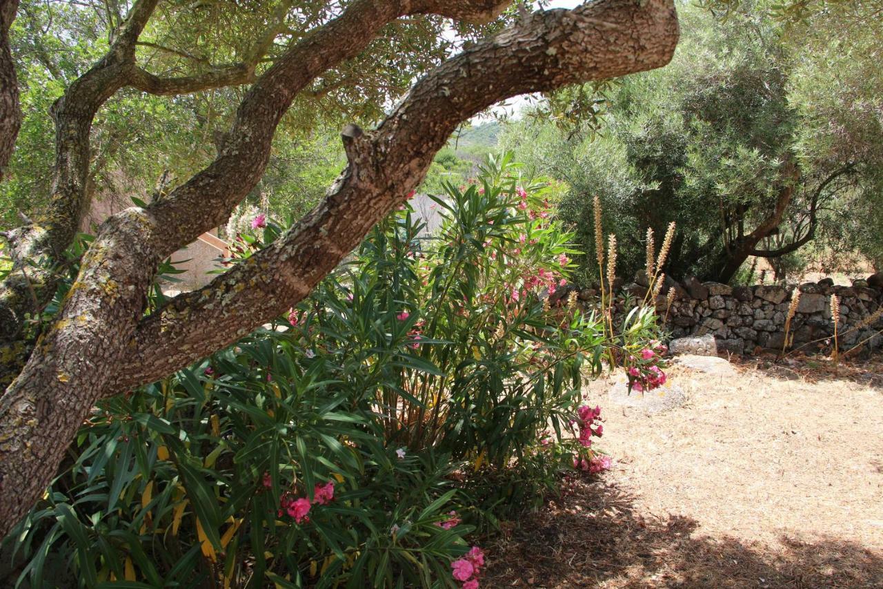 Le 25 Tartarughe Bed & Breakfast Santa Teresa Gallura Bagian luar foto