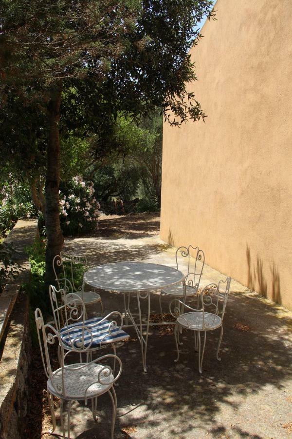 Le 25 Tartarughe Bed & Breakfast Santa Teresa Gallura Bagian luar foto