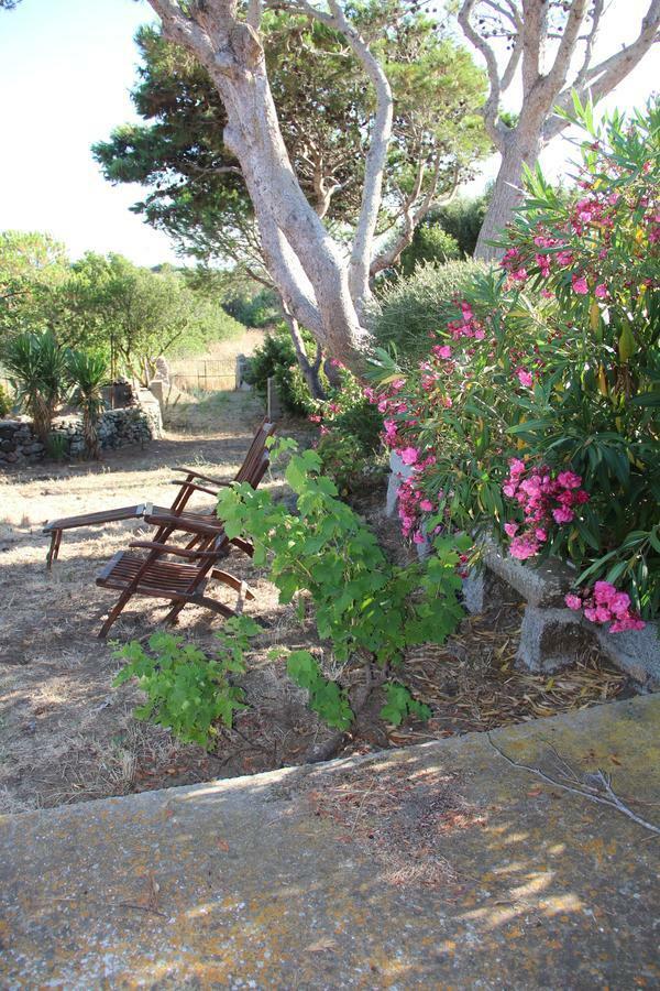 Le 25 Tartarughe Bed & Breakfast Santa Teresa Gallura Bagian luar foto
