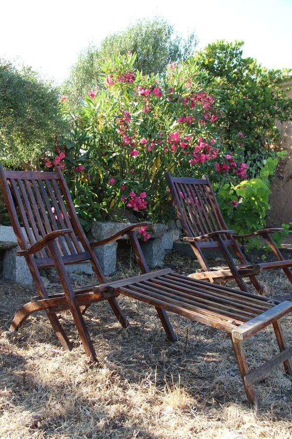 Le 25 Tartarughe Bed & Breakfast Santa Teresa Gallura Bagian luar foto